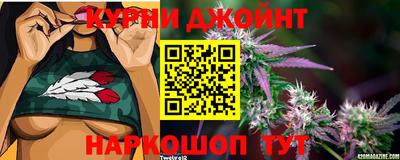 стаф Прохладный