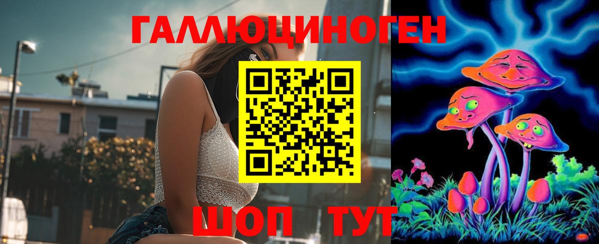 магазин    Вход с VPN  Лабинск  Псилоцибиновые грибы MAGIC MUSHROOMS 